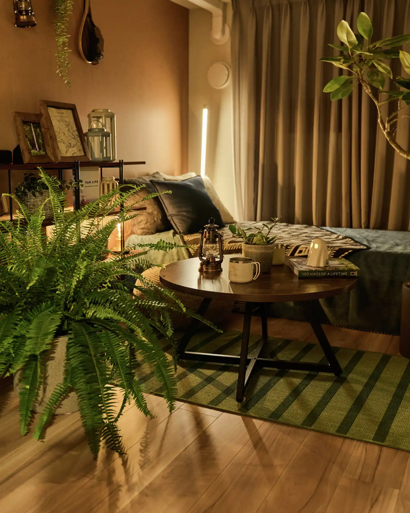 Boston fern