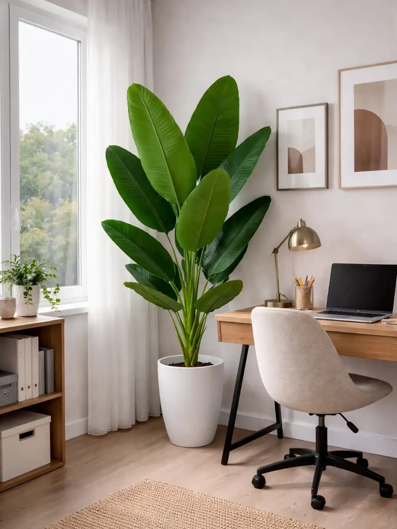 Indoor Home Office Plants