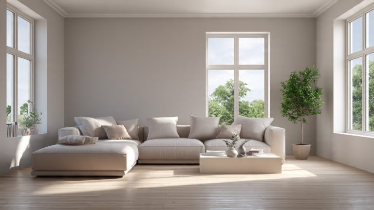 Minimalist Living Room Ideas on a Budget That Look Anything But Cheap