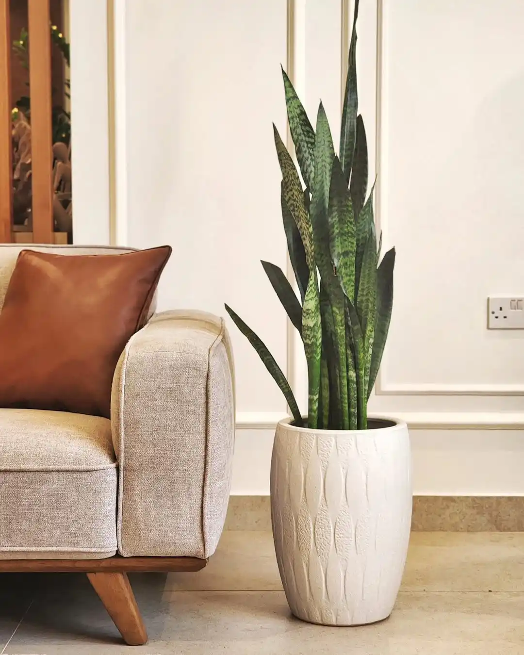 10 Minimalist Living Room Refresh Ideas for Spring That Take Less Than a Weekend 10 snake plant minimalist