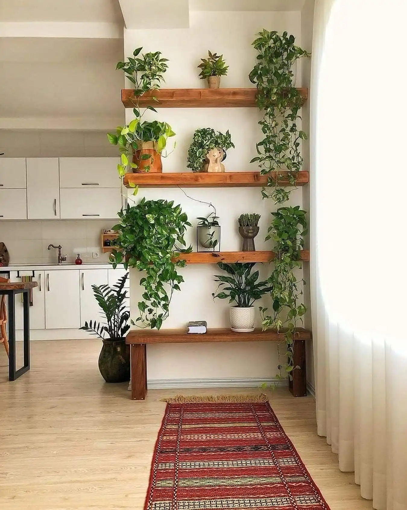Plant Shelf Indoor