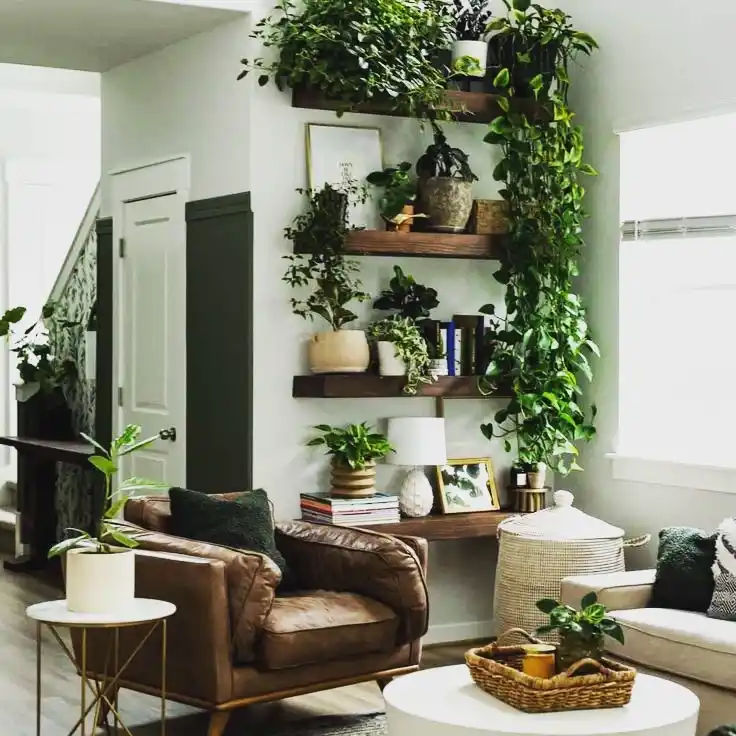 Plant shelfie ideas