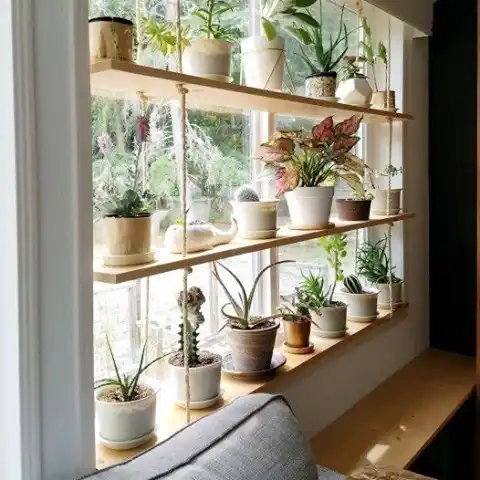Window Plant Shelf