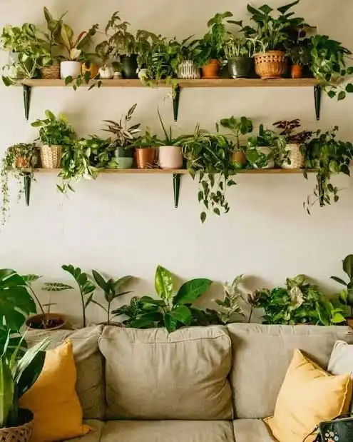 Window Shelf Living Room